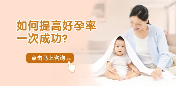 试管宝典