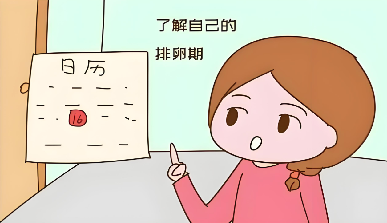 好孕技巧篇：怎么测排卵期最准确？