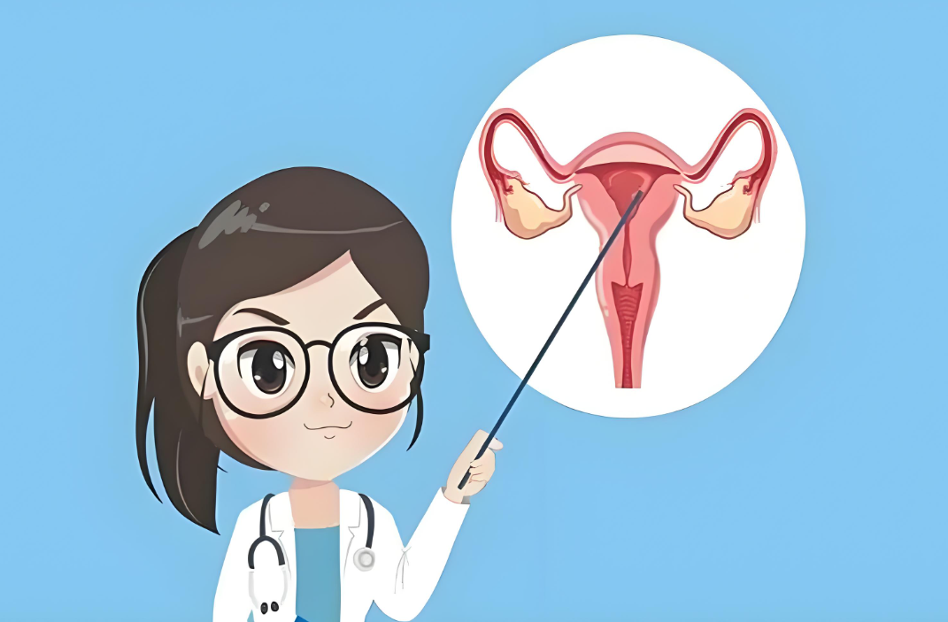 中西医周期治疗宫腔粘连术后子宫内膜薄 2 例